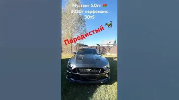В продаже Мустанг 5.0гт а также другие машины. #артемнайден #автобеларусь #автосша #мустанг