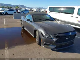 2024 Ford Mustang 2.3L, лот: i40672813