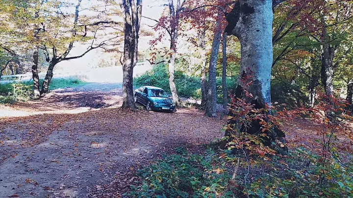 ford taurus 1996
