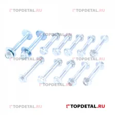 Комплект болтов задней подвески Ford Focus PS001 TORQUE