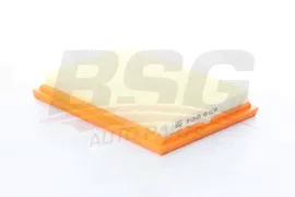 Фильтр воздушный FORD Fiesta (01-),Fusion (02-) BSG