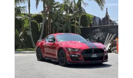 Ford Mustang SHELBY GT 500 AVAILABLE, пробег км