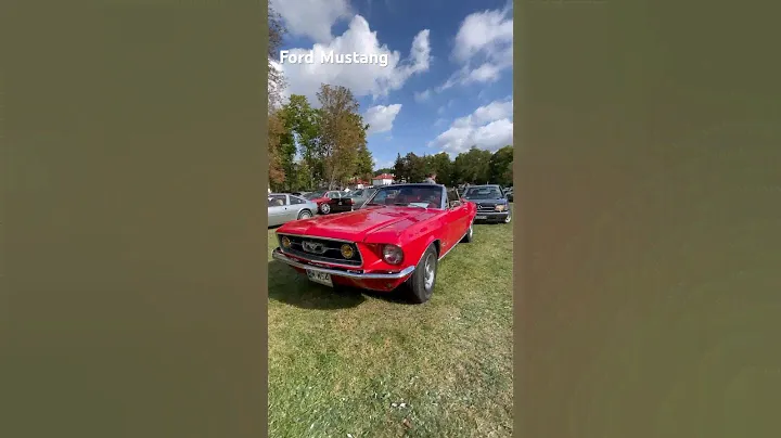 Ford Mustang — породистый жеребец или Американские Жигули? #янгтаймер #fordmustang #фордмустанг
