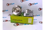 Поршни СТИ 316.18 (Ford Focus, 1,6l, EcoBoost 79.0 мм, под палец 21/46 кольца 1,2/1,2/2,0)
