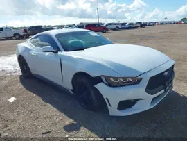 2024 Ford Mustang 2.3L, лот: i40380252